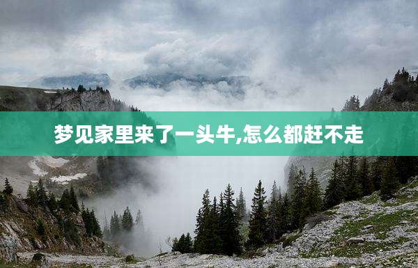 梦见家里来了一头牛,怎么都赶不走