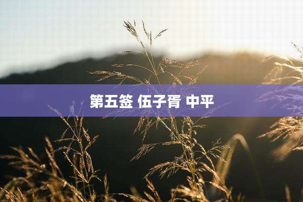 第五签 伍子胥 中平