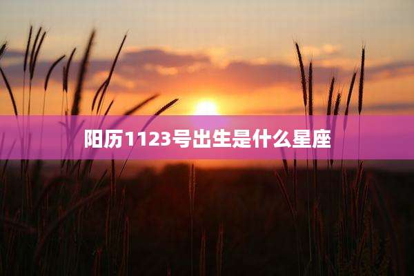 阳历1123号出生是什么星座