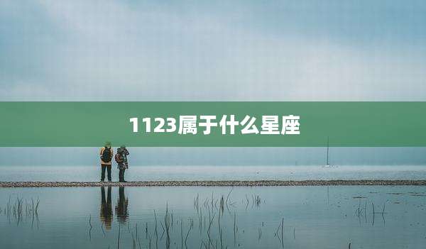 1123属于什么星座