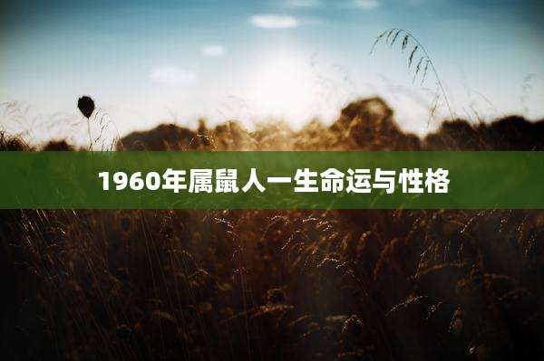 1960年属鼠人一生命运与性格