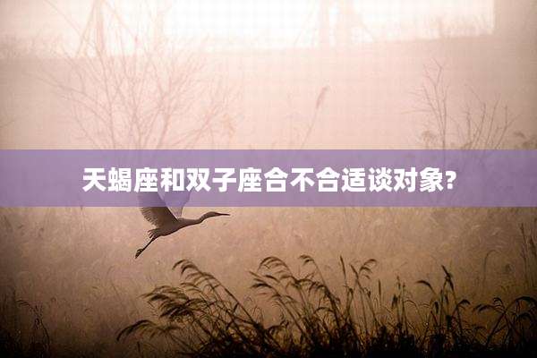 天蝎座和双子座合不合适谈对象?