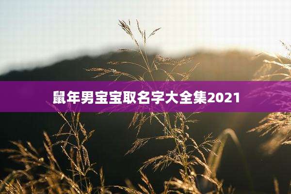 鼠年男宝宝取名字大全集2021