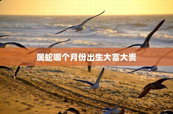 属蛇哪个月份出生大富大贵