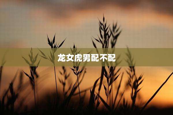 龙女虎男配不配