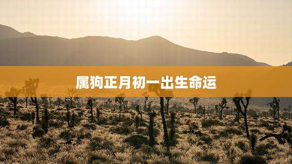 属狗正月初一出生命运