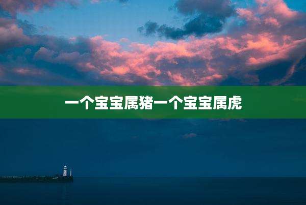 一个宝宝属猪一个宝宝属虎