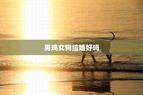 男鸡女狗结婚好吗