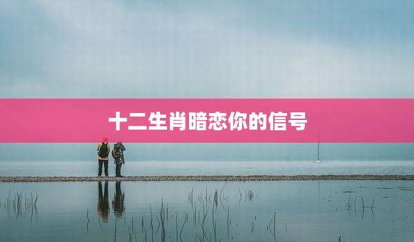 十二生肖暗恋你的信号