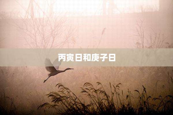 丙寅日和庚子日