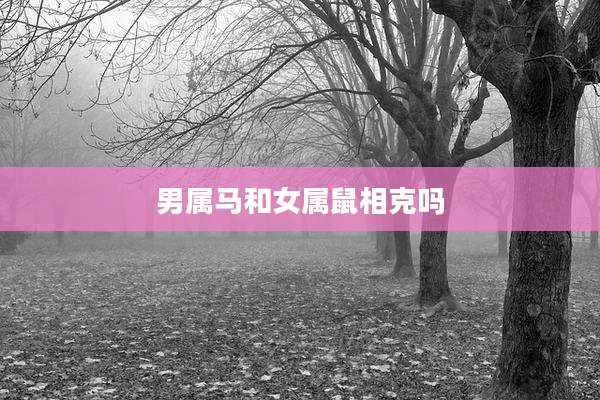 男属马和女属鼠相克吗