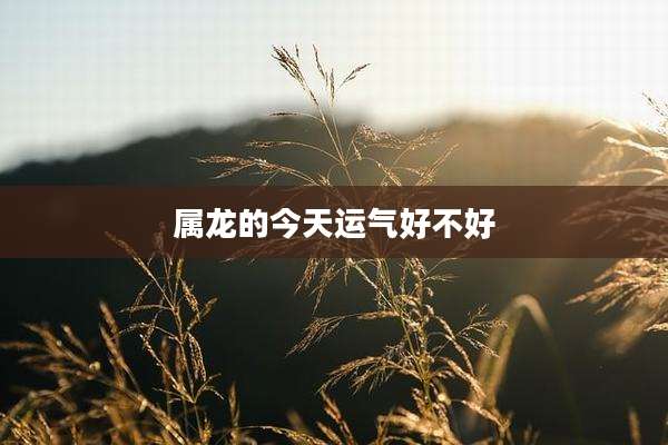 属龙的今天运气好不好