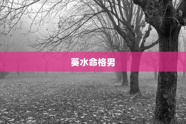 葵水命格男