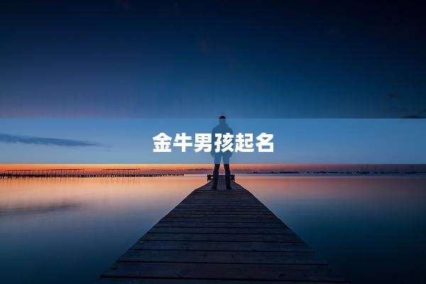 金牛男孩起名