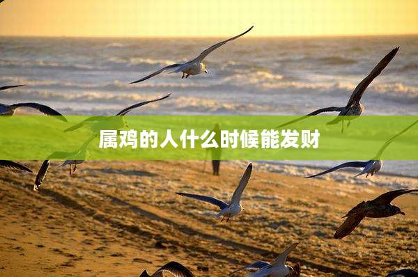 属鸡的人什么时候能发财