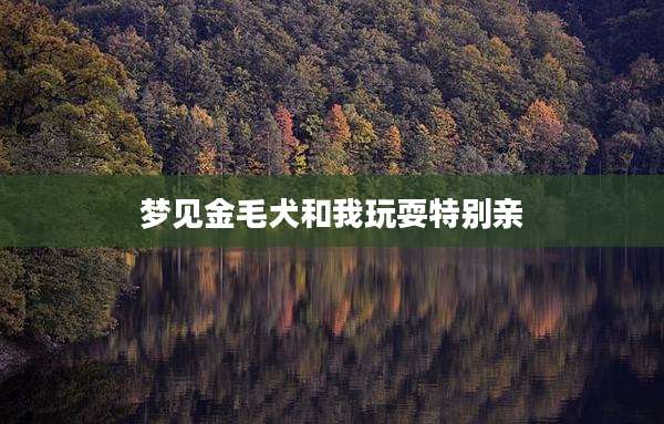 梦见金毛犬和我玩耍特别亲