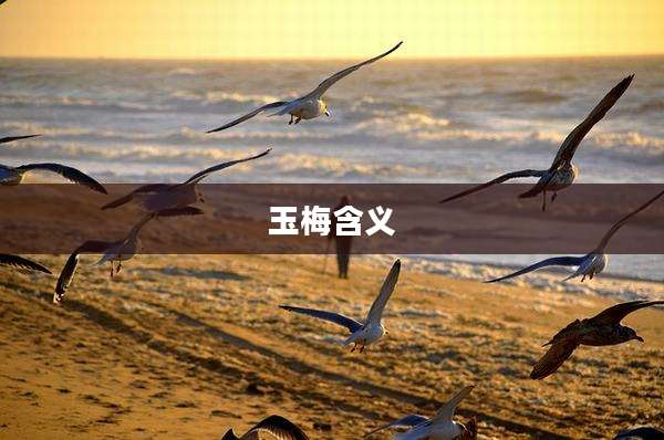玉梅含义