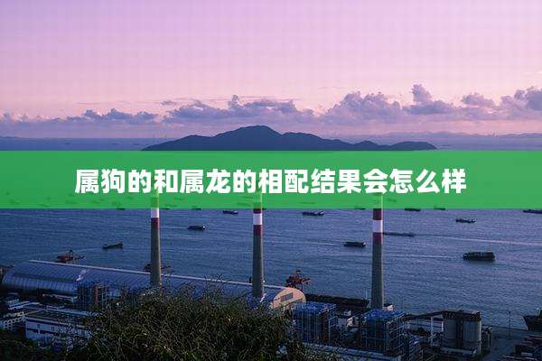 属狗的和属龙的相配结果会怎么样