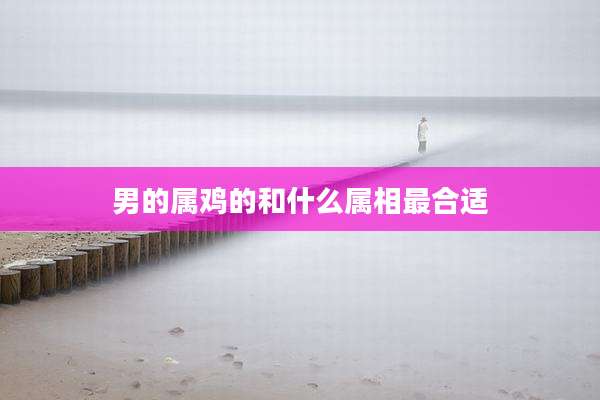 男的属鸡的和什么属相最合适