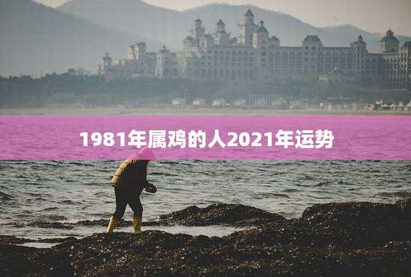 1981年属鸡的人2021年运势