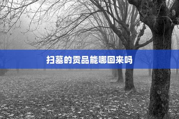 扫墓的贡品能哪回来吗