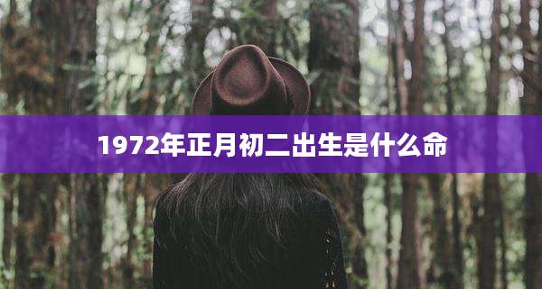 1972年正月初二出生是什么命