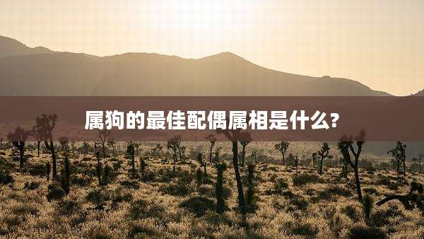 属狗的最佳配偶属相是什么?