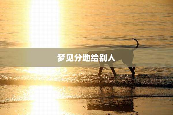 梦见分地给别人