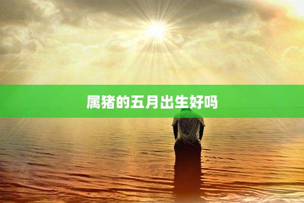 属猪的五月出生好吗
