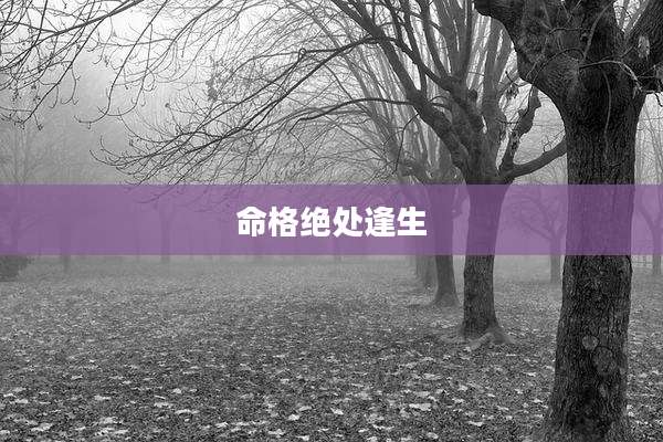 命格绝处逢生