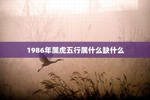 1986年属虎五行属什么缺什么