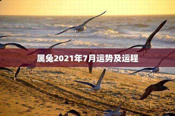 属兔2021年7月运势及运程