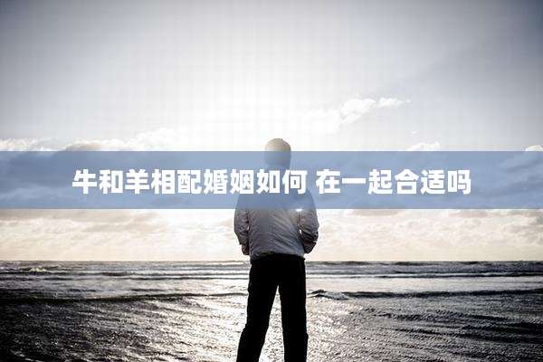 牛和羊相配婚姻如何 在一起合适吗