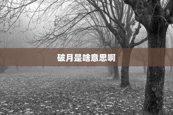 破月是啥意思啊