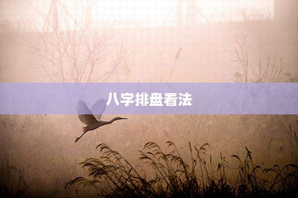八字排盘看法
