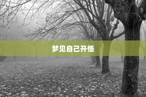 梦见自己开悟