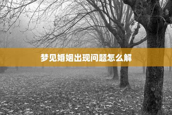梦见婚姻出现问题怎么解