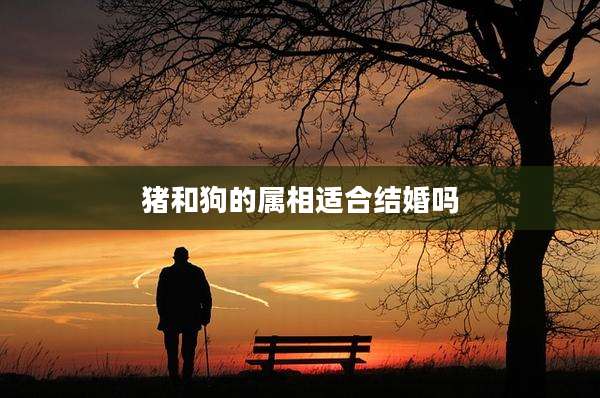 猪和狗的属相适合结婚吗