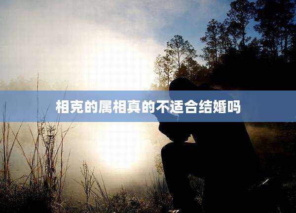 相克的属相真的不适合结婚吗