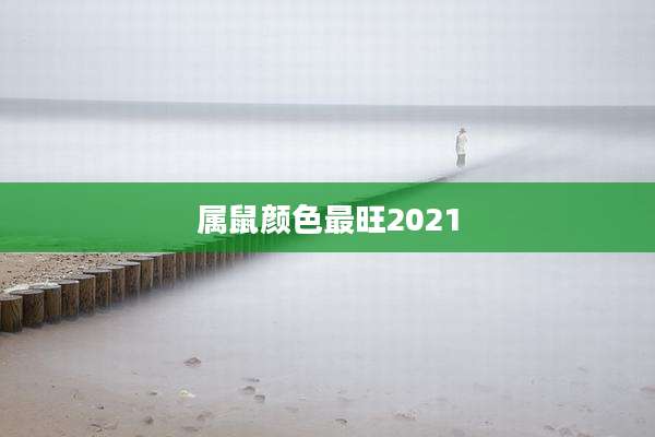 属鼠颜色最旺2021