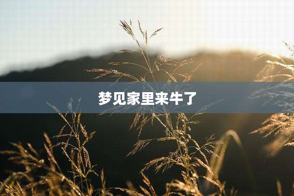 梦见家里来牛了
