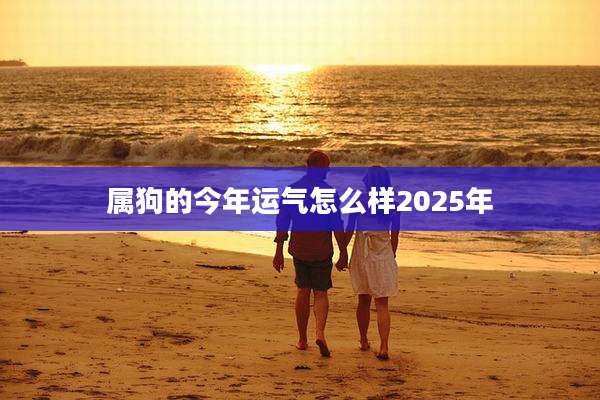 属狗的今年运气怎么样2025年