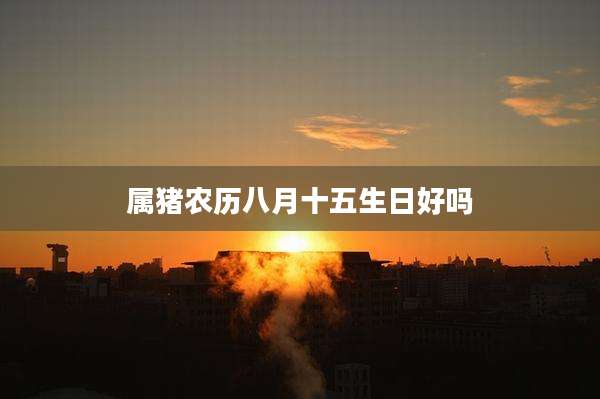 属猪农历八月十五生日好吗