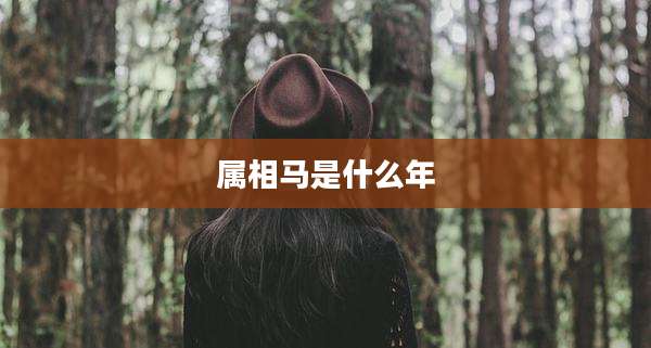 属相马是什么年