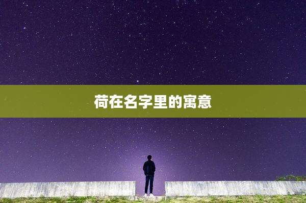 荷在名字里的寓意
