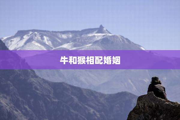 牛和猴相配婚姻