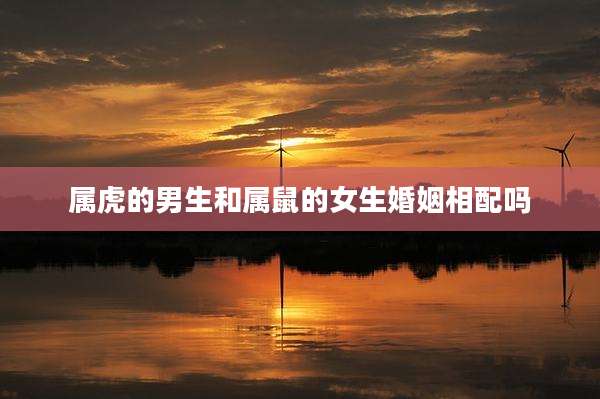 属虎的男生和属鼠的女生婚姻相配吗