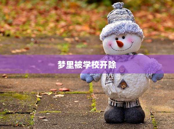 梦里被学校开除