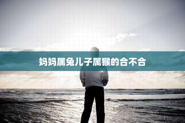 妈妈属兔儿子属猴的合不合