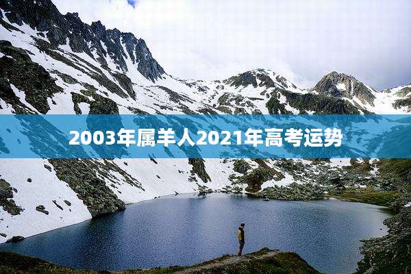 2003年属羊人2021年高考运势